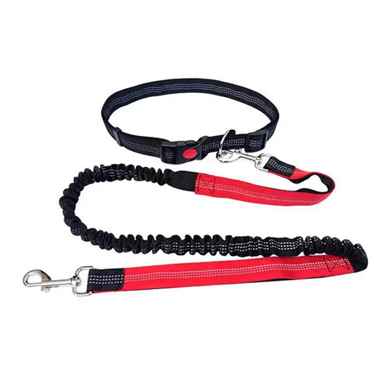 Elastic Nylon Adjustable Dog Leash, Durable Dog Leash, Pet Walking Leash, Dogs Walking Rope, Pets Training Leash, Outdoor Walking Leash for Small Medium Large Dogs