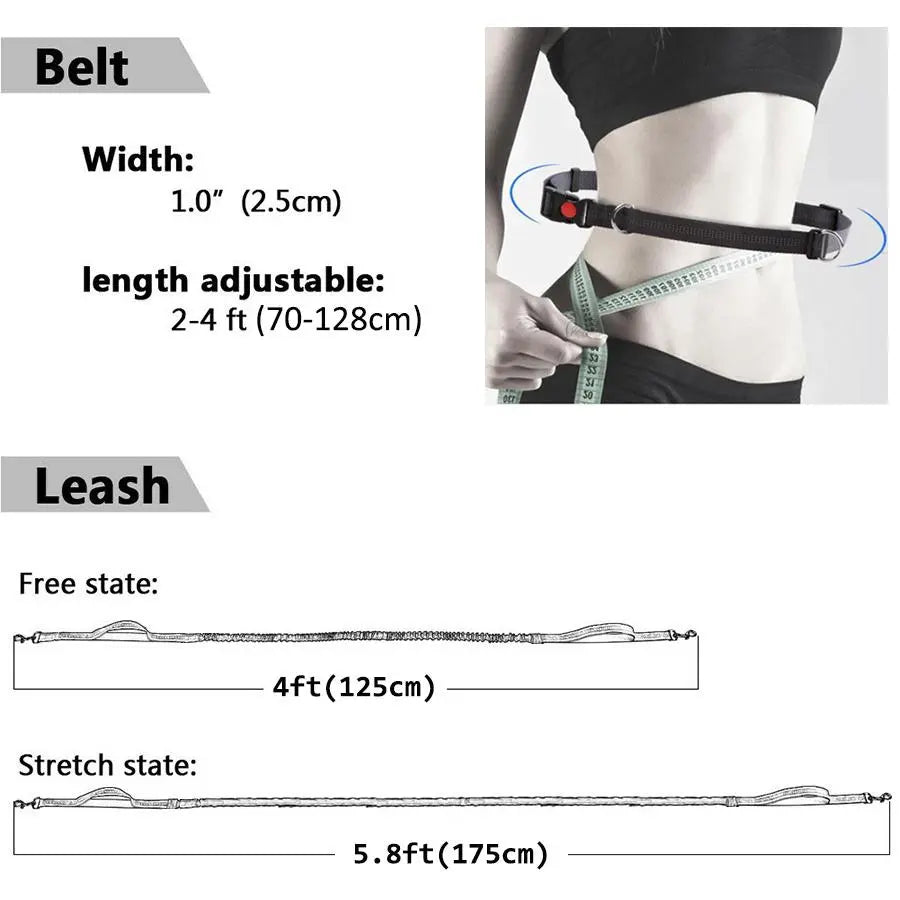 Elastic Nylon Adjustable Dog Leash, Durable Dog Leash, Pet Walking Leash, Dogs Walking Rope, Pets Training Leash, Outdoor Walking Leash for Small Medium Large Dogs