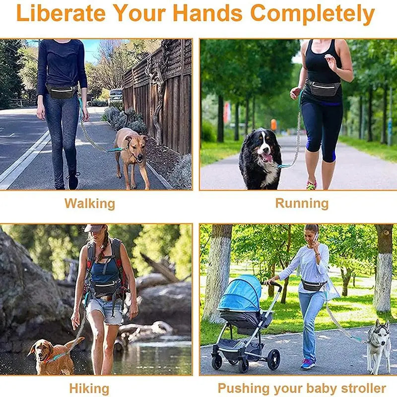 Elastic Nylon Adjustable Dog Leash, Durable Dog Leash, Pet Walking Leash, Dogs Walking Rope, Pets Training Leash, Outdoor Walking Leash for Small Medium Large Dogs