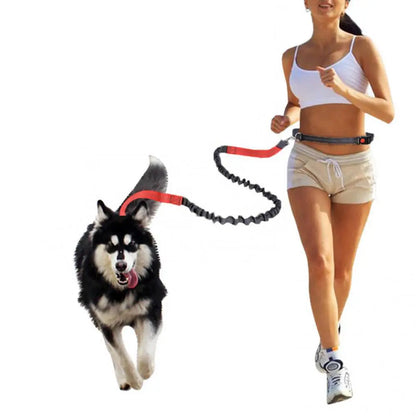 Elastic Nylon Adjustable Dog Leash, Durable Dog Leash, Pet Walking Leash, Dogs Walking Rope, Pets Training Leash, Outdoor Walking Leash for Small Medium Large Dogs